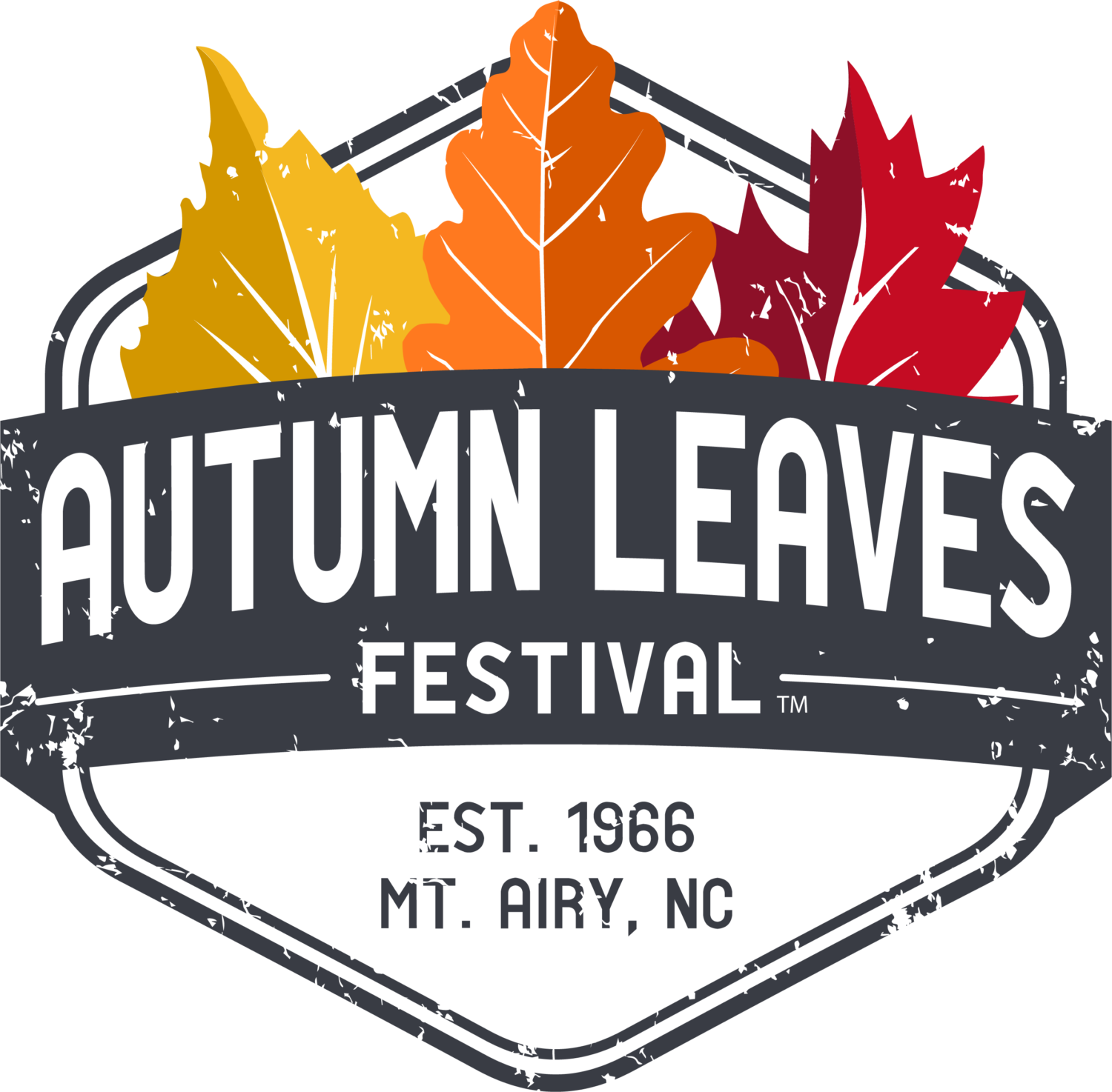Mt Airy Autumn Leaves Festival 2025 Amelia Meridith